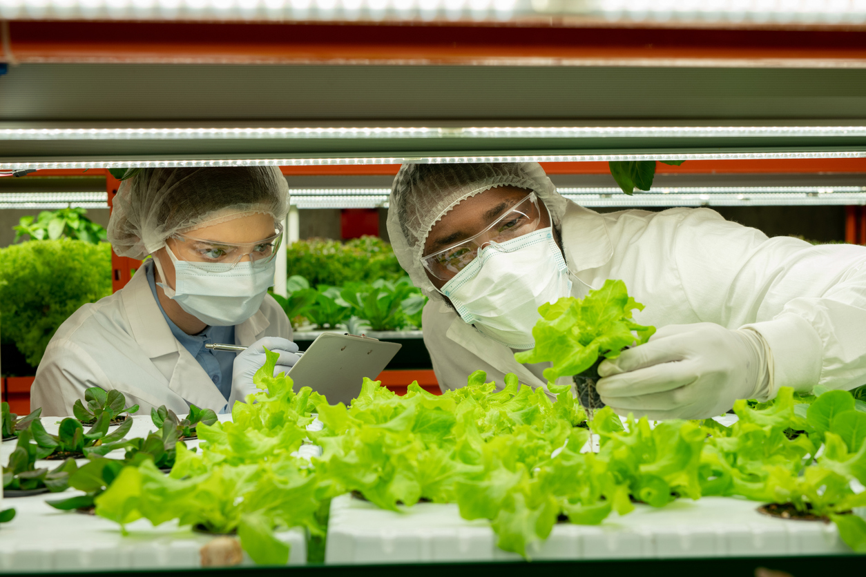 Agriculture